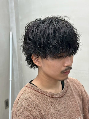 Alma four×スタイル