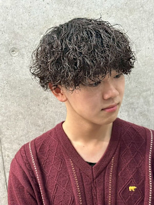 Alma four×スタイル