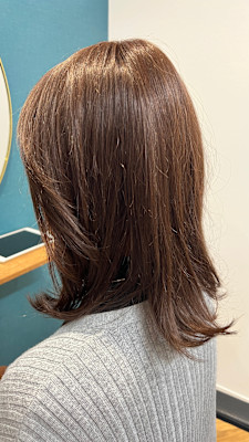 hair revital salon shelter