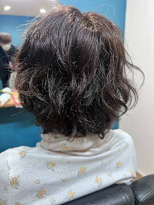 hair revital salon shelter