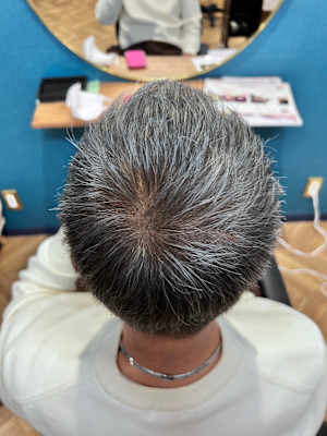 hair revital salon shelter