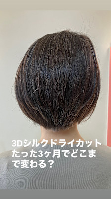 マッシュレイヤーボブ髪質改善before after
