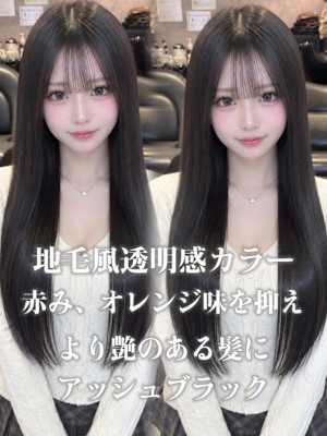 《鈴木茉奈》アッシュブラック/トーンダウン/透明感