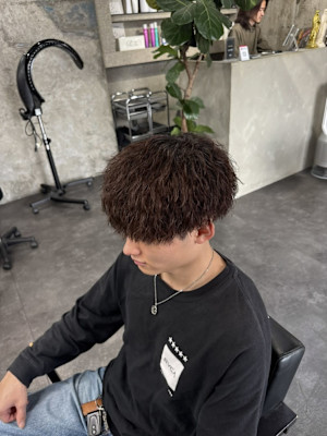 コンパクトなマッシュ×束感