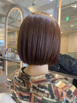 扱いが簡単なミニボブ