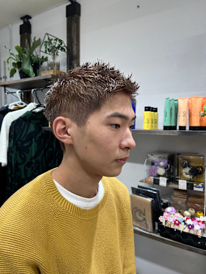 スパイキーショート