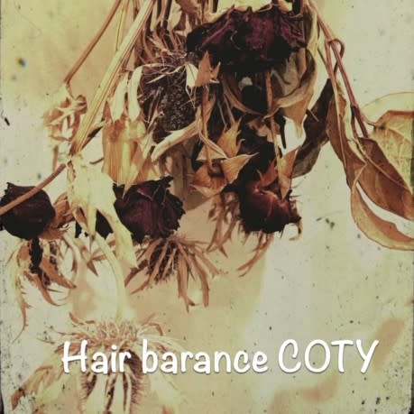Hair Balance COTY(ヘア バランス コティ)