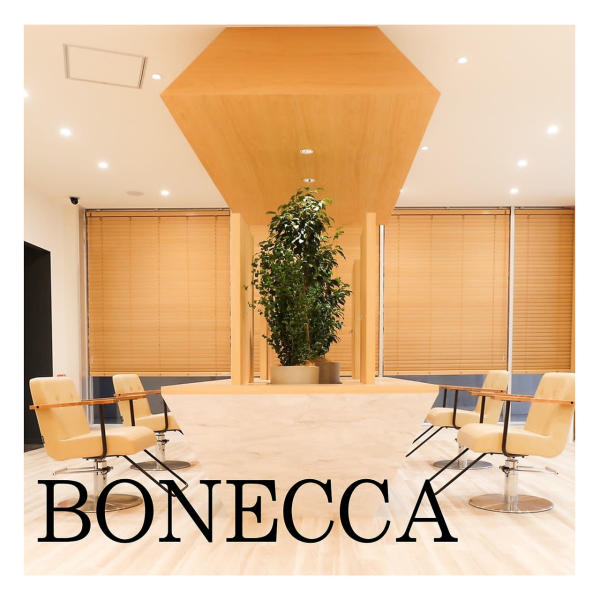 BONECCA(ボネッカ)