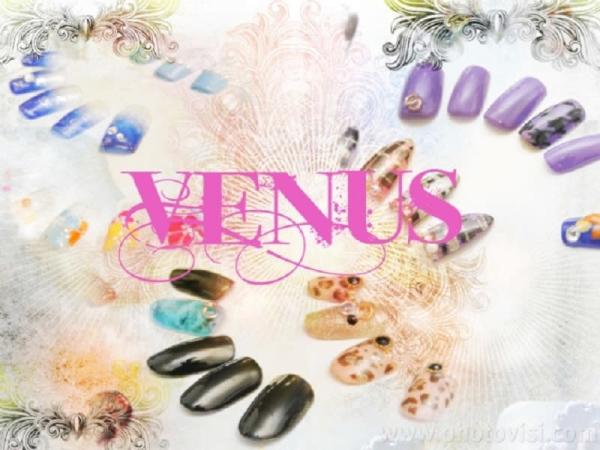 VENUS(ヴィーナス)