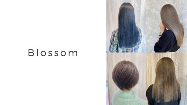 Blossom 中台店(ブロッサム ナカダイテン)