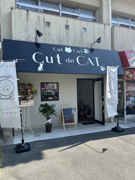 cut de CAT(カットデキャット)