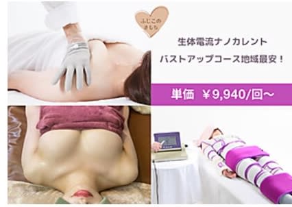 バスト専門サロン ふじこのきもち(バストセンモンサロンフジコノキモチ)