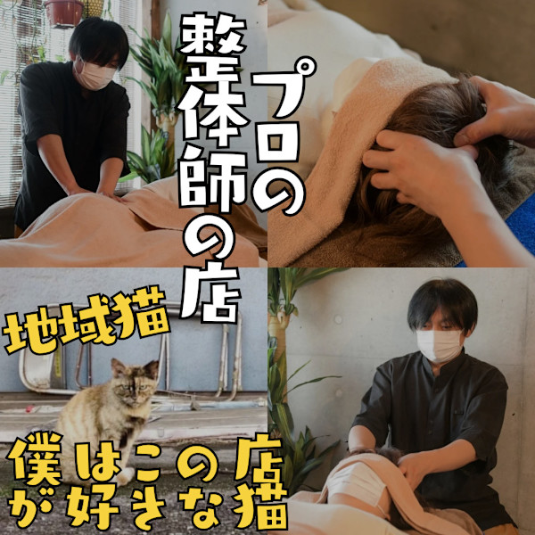 フラミンゴの休日 高崎美容健康整体 頭ほぐし&ボディケア【整体学校併設】(フラミンゴノキュウジツタカサキビヨウケンコウセイタイアタマホグシボディケアセイタイガッコウヘイセツ)