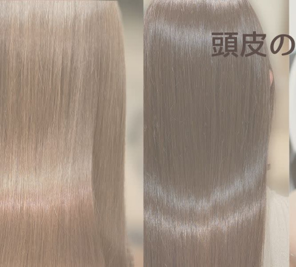 【半個室】Log hair&spa(ハンコシツ ログヘアアンドスパ)