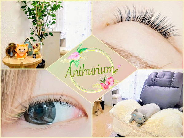 Anthurium(アンスリウム)