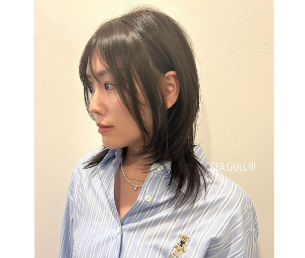 SEAGULLIII(シーガル)