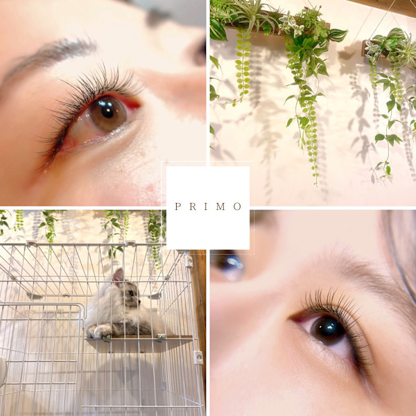 PRIMO(プリモ)