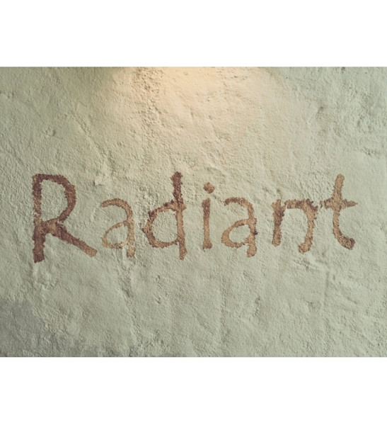 Radiant 泉南店(ラディアント センナンテン)