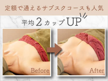 【バストアップ専門店】ふじこのみらいbyラディアンヌ(バストアップセンモンテンフジコノミライ)