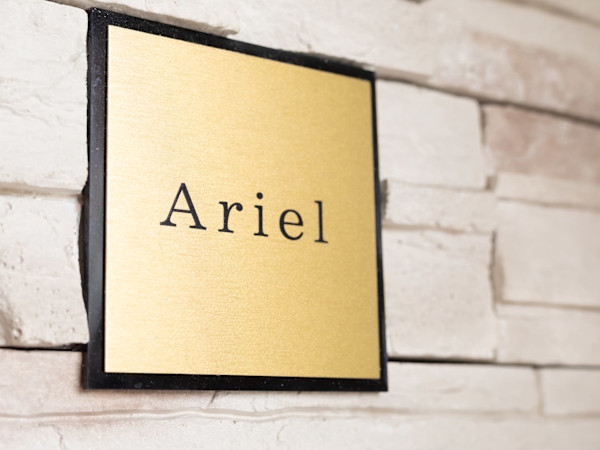 Ariel(アリエル)