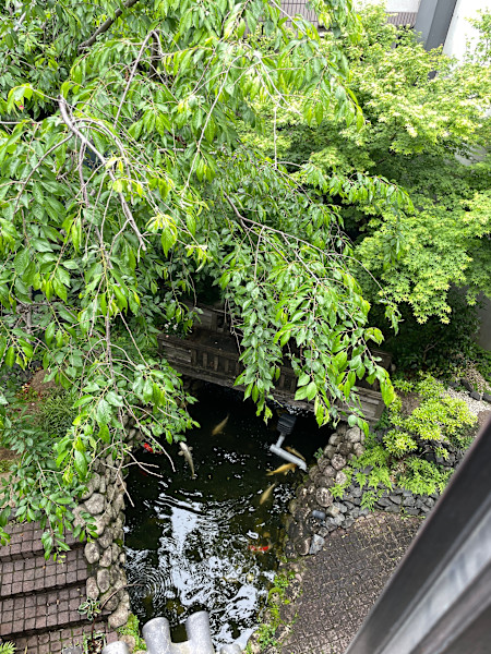 SUN 白金台 本館(サンシロガネダイ ホンカン)