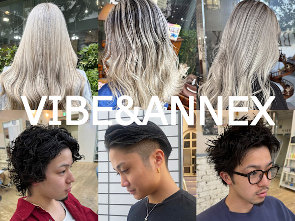 VIBE & ANNEX(バイブアンドアネックス)