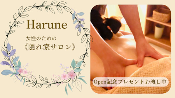 Harune(ハルネ)