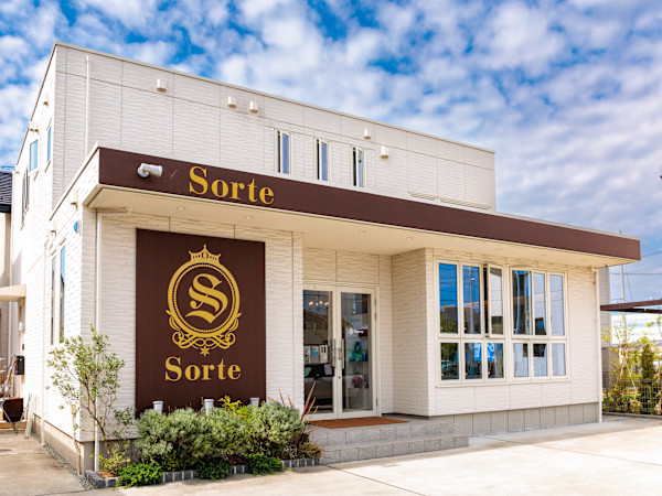 Sorte(ソルテ)