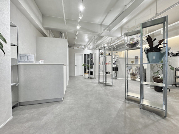 Salon de Qualia(サロンドクオリア)