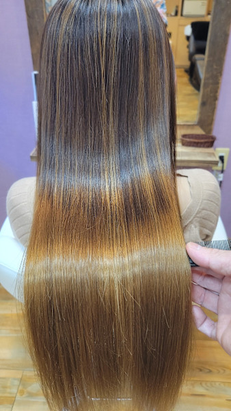 dandelion(ダンデライオン)