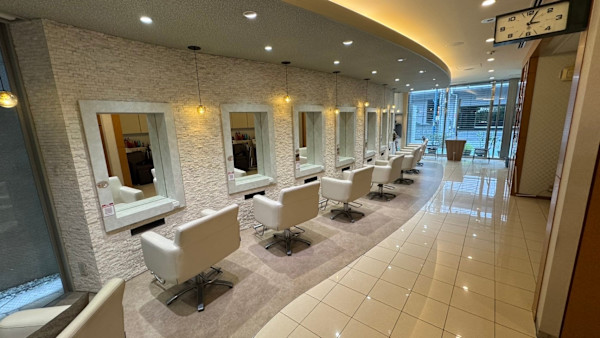 VISAGE plus【ヴィサージュ プラス】(ヴィサージュ プラス)