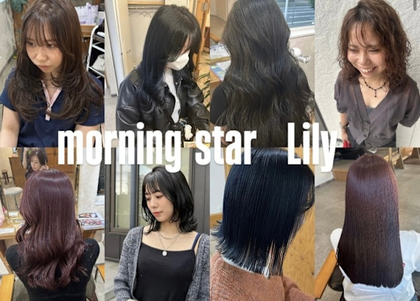 morning star lily(モーニングスターリリィ)