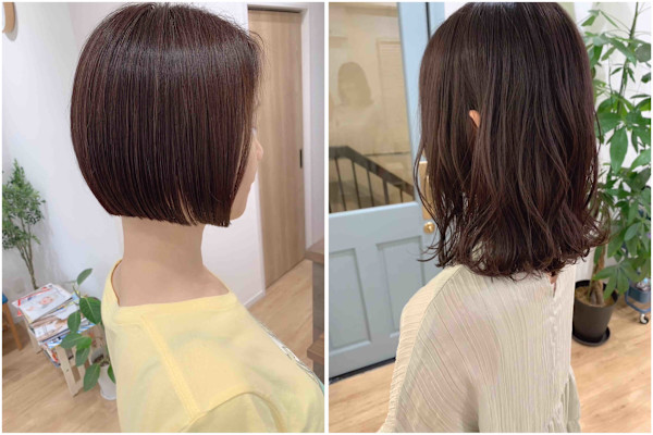 HALE Re-Hair(ハレ リ ヘアー)