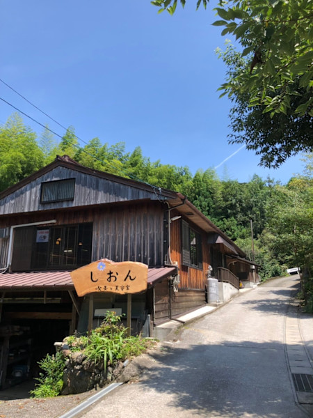 しおん(シオン)