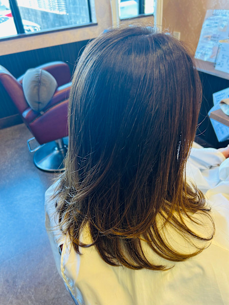 Pixie Bob(ピクシー ボブ)