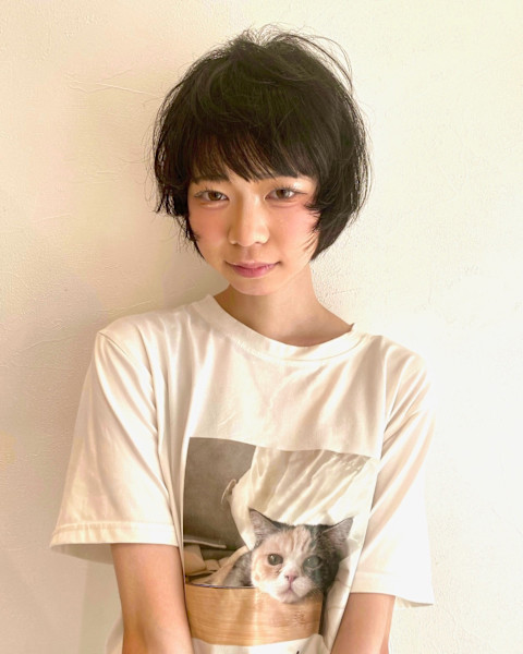 Beetle(ビートル)