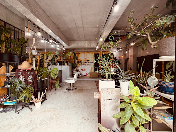 conocoa(コノコア)