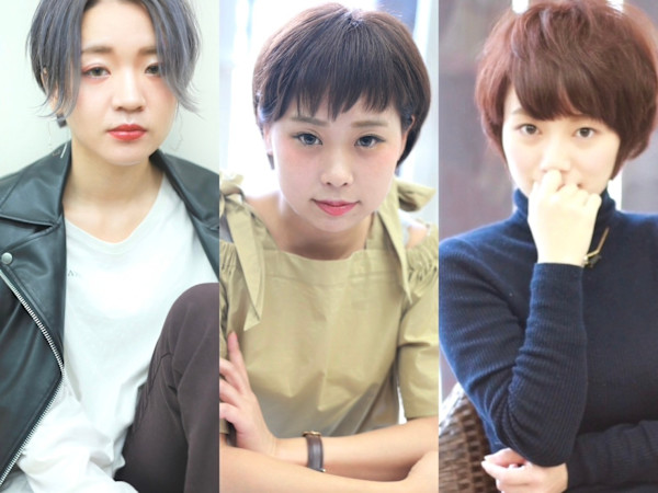 graspedia(グラスペディア)