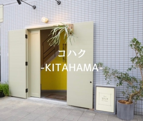 コハク（kohaku）(コハク)