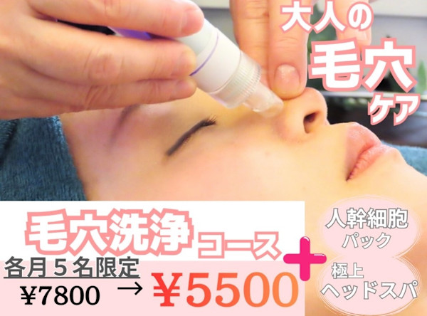 40代からの肌と自律神経ケア専門～ルル～北仙台【毛穴/美白/くすみ/たるみ/シワケア】(ヨンジュウダイカラノハダトジリツシンケイケアセンモンルルキタセンダイケアナビハククスミタルミシワケア)