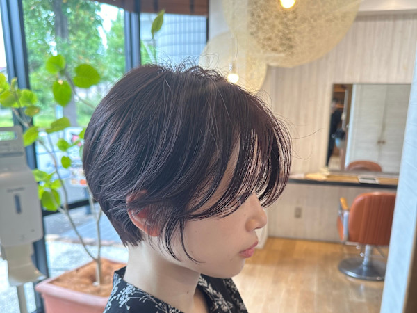 shine(シャイン)
