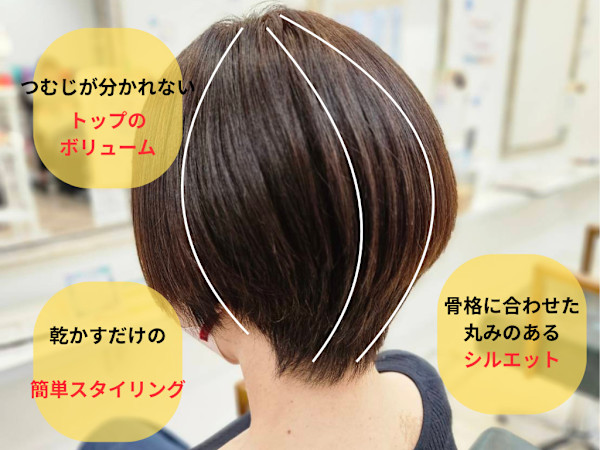 NEXUS(ネクサス)