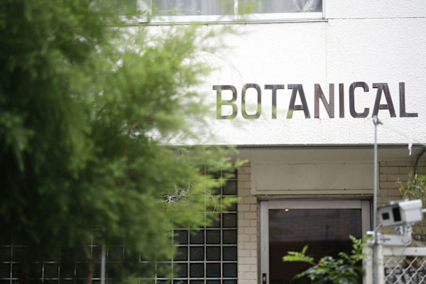 BOTANICAL(ボタニカル)
