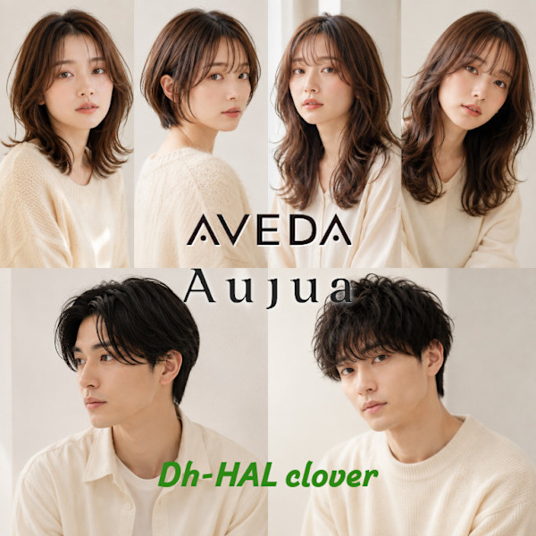 Dh-HAL clover(ディーエッチハルクローバー)