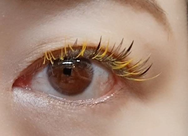 Divine Eyelash New art studio(ディバイン アイラッシュニュー アートスタジオ)