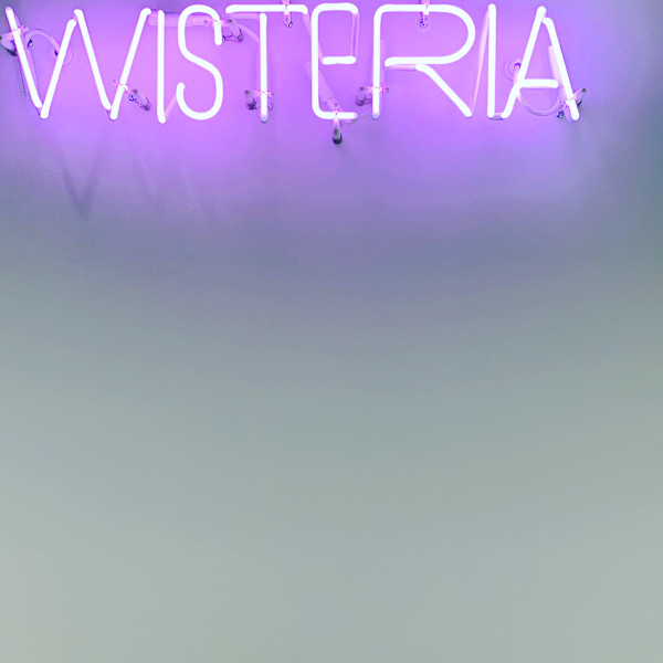 WISTERIA 銀座 【ウィステリア】(ウィステリアギンザ)
