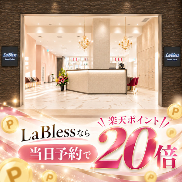 LaBlessザ北浜PLAZA《北浜駅直結》(ラブレスザキタハマプラザ キタハマエキチョッケツ)