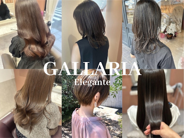 全席個室型美容室 GALLARIA Elegante各務原店(ゼンセキコシツガタビヨウシツ ガレリアエレガンテカカミガハラテン)