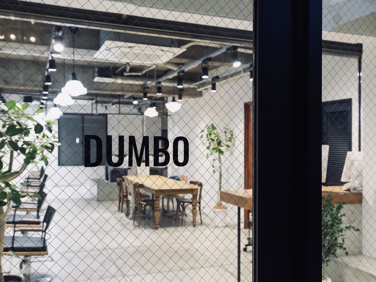 DUMBOのアイキャッチ画像