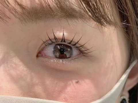 Lily eyelash & brow 広島のアイキャッチ画像
